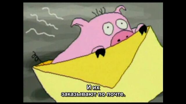 Dr. Katz. s01e01 "Pot-Bellied Pigs" (eng/rus-sub)