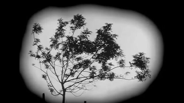 EVERYTHING WILL BE OK - by DON HERTZFELDT