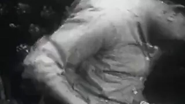 Идеальная женщина в сексуальной одежде (винтаж 1950-х)