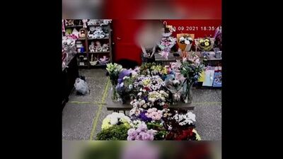 Заглядывает под юбки
