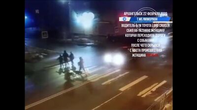 Мужчина сбил женщину с собаками на пешеходном переходе и скрылся. Архангельск, 22.02.20