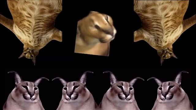 Вечеринка Шлёпы
