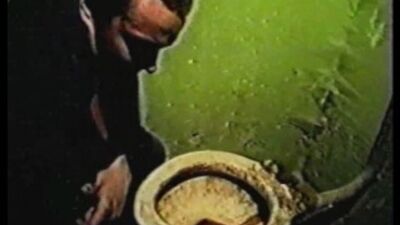 Чисти говно. "Зеленый слоник"