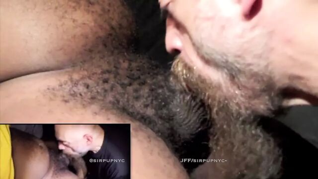 Sirpupnyc swallows