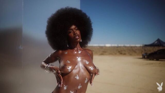 Playboy - Playmate - Tanerelle