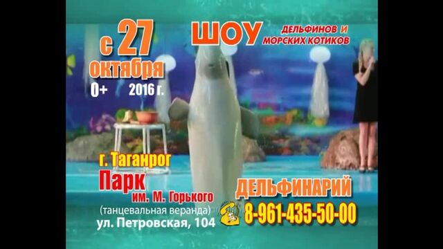 Дельфинарий в Таганроге 2016