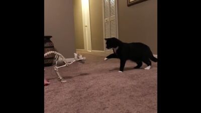 211