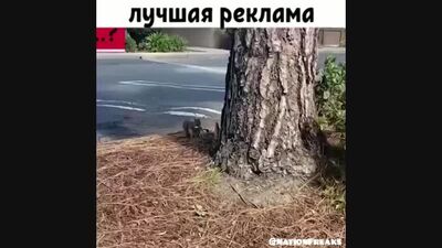Лучшая реклама Snikers