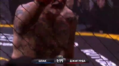 Шпак-Джигурда