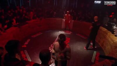 [Kimchi MMA] Анубис против Тимура Золотого на Top Dog 8 / Полный разбор боя