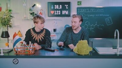 Бастиан пробует LSD | Drugslab на русском от Yap Kiwi