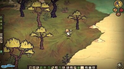 Dont Starve (Gameplay)