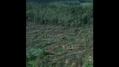 Video by Подслушано Верхнедвинск