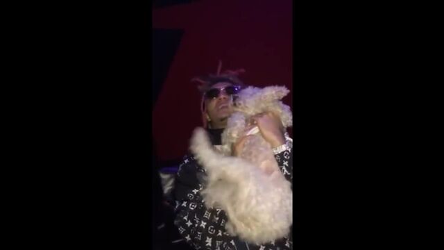Lil pump house bitch hoe