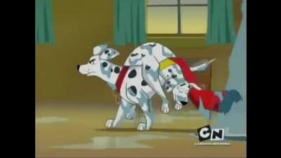 Krypto the Superdog-Old Dogs New Tricks Clip #4