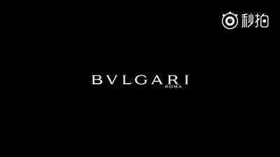 Zhang Zhehan | bvlcari
