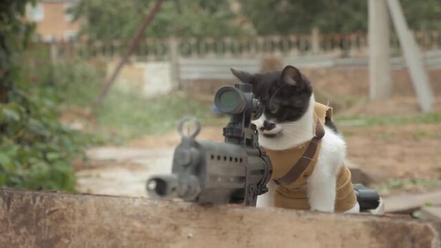 КОТЫ против Зомби Прикол (Cats vs Zombies) Фильмы Ужасов