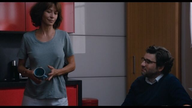 Софи Марсо - Всё прошло хорошо / Sophie Marceau - Tout s'est bien passé ( 2021 )