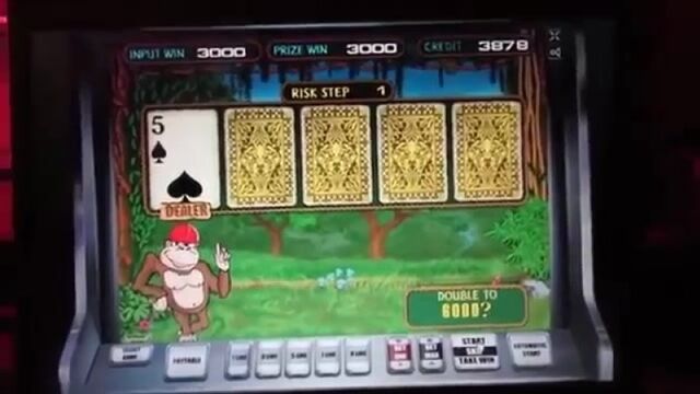 Слот Обезьянки выигрыш 23000 руб #смотреть #фильм #кино #casino фильм кино видео #вулкан #хентай #porno #anal #минет