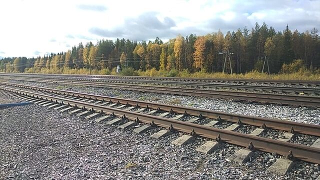 #ВестиСШиеса Шиес. 23 сентября 2020 года. Время 14.02. Поезд 376 "Москва - Воркута"