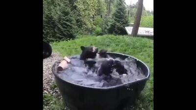 Принять ванну, выпить чашечку кофэ