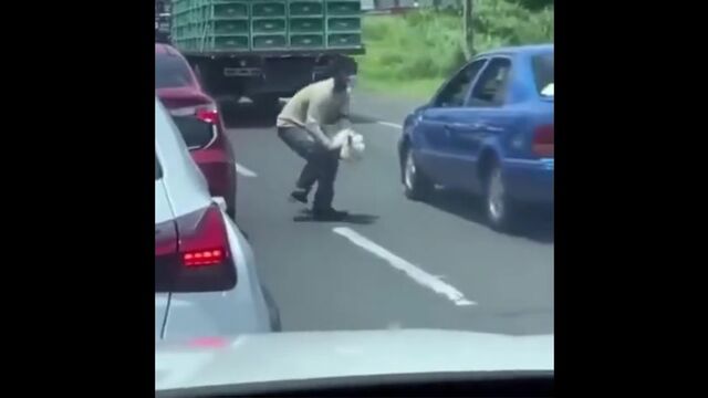 Словил цыпу на дороге
