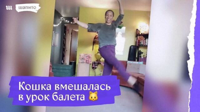 Кошка прервала урок балета 