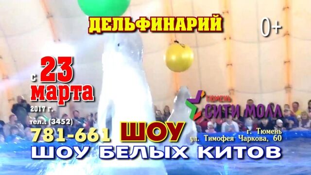 Дельфинарий Тюмень с 23 марта 2017