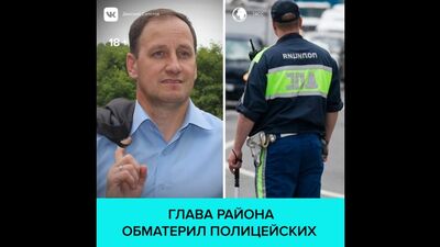 Глава Печорского района Псковской области обматерил полицейских — Москва 24