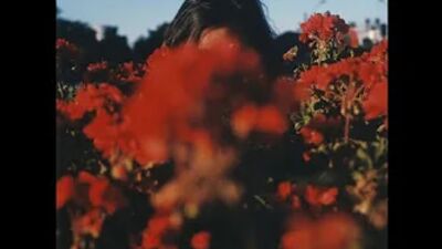 Stzzy. - last days of summer (lofi hip-hop mix)