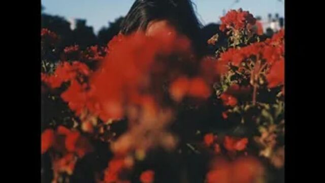 Stzzy. - last days of summer (lofi hip-hop mix)