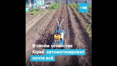 Сделал комбайн для сбора картошки 